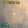 V* V1595 Ori