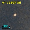 V* V1607 Ori