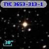 TYC 3653-313-1