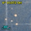 V* V1072 Ori