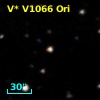 V* V1066 Ori