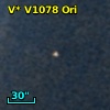 V* V1078 Ori