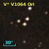 V* V1064 Ori