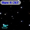 Haro 4-267