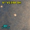 V* V1598 Ori