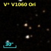 V* V1060 Ori