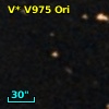 V* V975 Ori