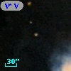 V* V1019 Ori