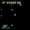 V* V1039 Ori