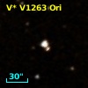 V* V1263 Ori