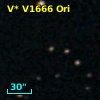 V* V1666 Ori