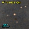 V* V1411 Ori