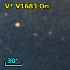 V* V1683 Ori