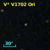 V* V1702 Ori