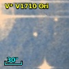 V* V1710 Ori