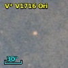 V* V1716 Ori