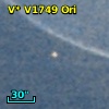 V* V1749 Ori