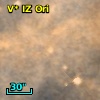 V* IZ Ori