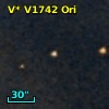 V* V1742 Ori