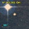 V* V1241 Ori