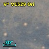V* V1529 Ori