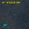 V* V1610 Ori
