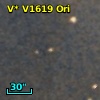 V* V1619 Ori