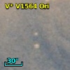 V* V1564 Ori