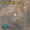 V* V1417 Ori