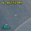 V* V1752 Ori