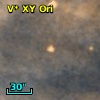V* XY Ori