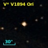2MASS J05334368-0624287