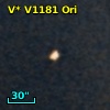 V* V1181 Ori