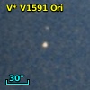 V* V1591 Ori