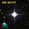 HD  36727