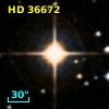 HD  36672