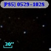 [P85] 0529-1028