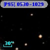 [P85] 0530-1029