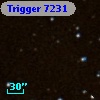 Trigger  7231