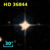 HD  36844