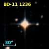 BD-11  1236