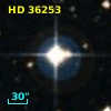 HD  36253