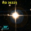 HD  36325