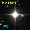 HD  36343