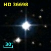 HD  36698