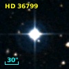 HD  36799