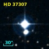 HD  37307