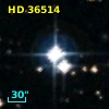 HD  36514