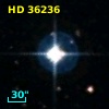 HD  36236