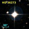 HD  36273